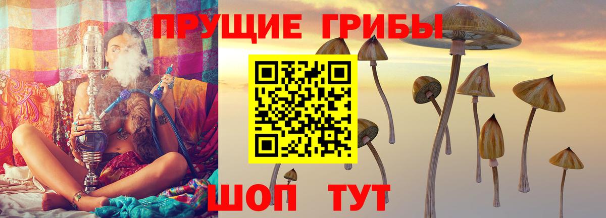 Псилоцибиновые грибы Magic Shrooms Югорск