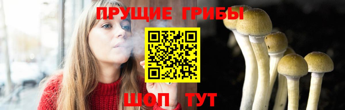 Югорск  Галлюциногенные грибы Magic Shrooms  Вход с VPN 